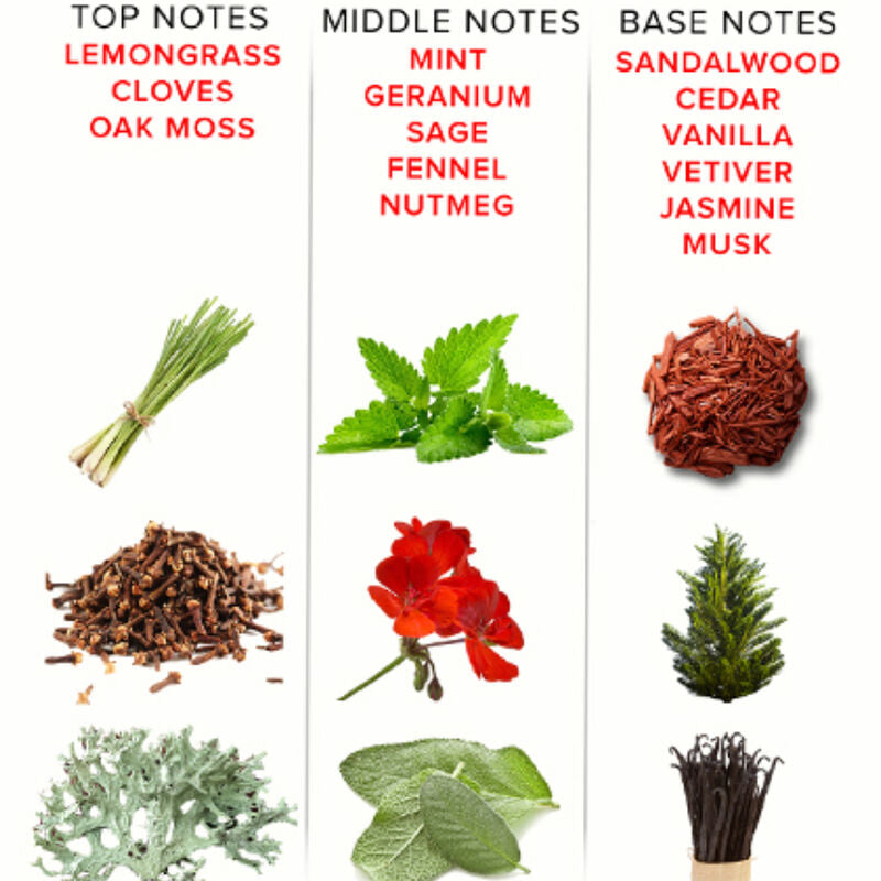 EYE OF LOVE EOL PHR Perfume Deluxe 50 Ml – Fragancia De Feromonas Para Aumentar Tu Atractivo