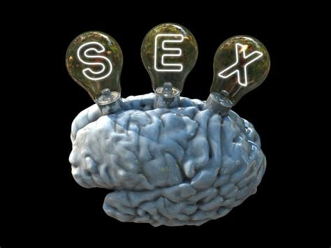 Tu cerebro también tiene deseo: cómo funciona la excitación más allá del cuerpo