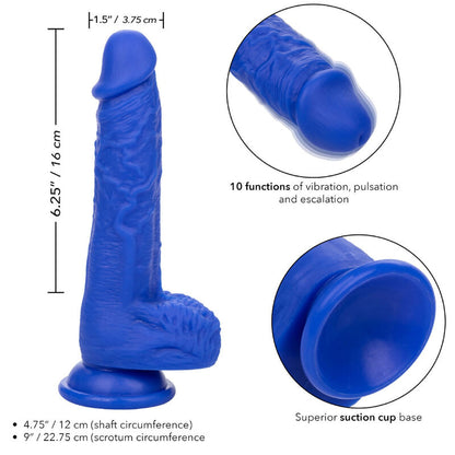 CALEXOTICS Admiral Sailor Dildo Blu – Design realistico per il piacere sensoriale