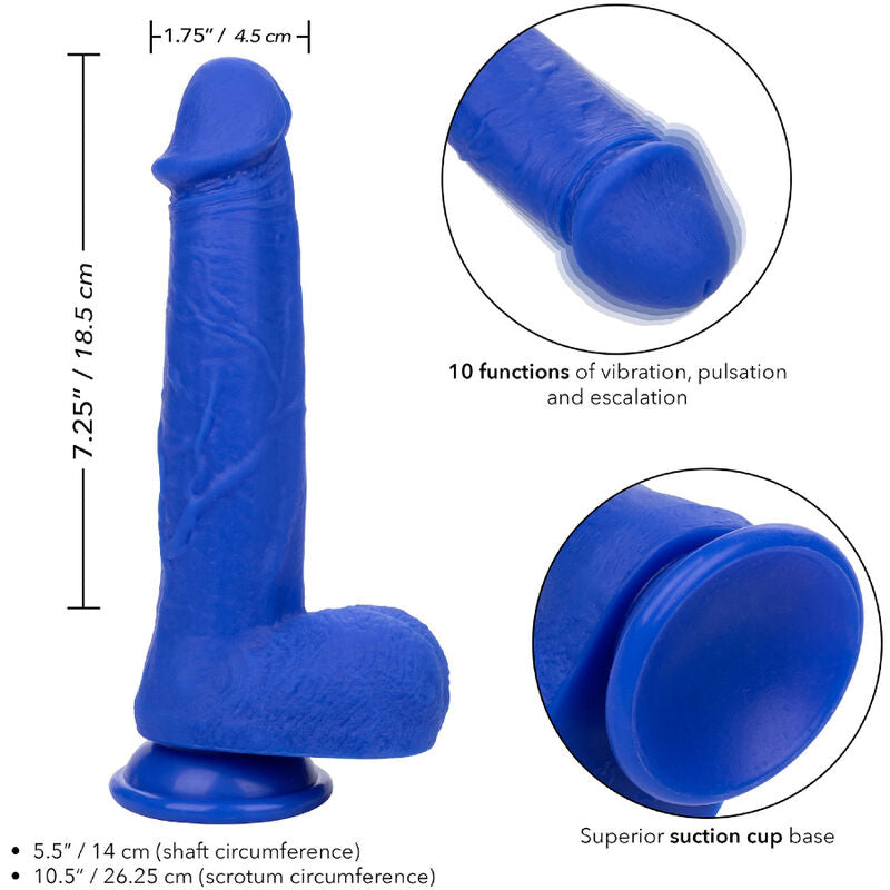Comprar CALEXOTICS Capitán Vibrante Admiral 8 Inch – Diseño Ergonómico Para Una Experiencia Sensorial Única-Noxtic