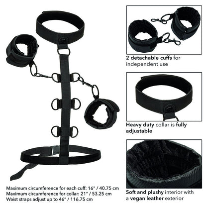 Comprar CALEXOTICS Collar Boundless – Sistema De Sujeción Con Diseño De Cuero Vegano-Noxtic