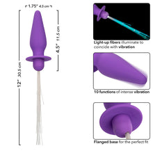 CALEXOTICS - SOUTHERN LIGHTS LIGHT UP ANAL PLUG WITH LIGHTS 10 VIBRATIONS VIOLET SILICONE