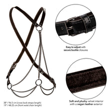 CALEXOTICS - EUPHORIA PREMIUM MULTI-CHAIN ​​HARNESS PLUS SIZE