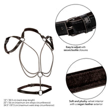 CALEXOTICS - EUPHORIA PREMIUM MULTI-CHAIN ​​HALT HARNESS