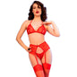Comprar Chilirose CR 4848 Set Sujetador Tanga Medias De Encaje Rojo S – Conjunto Elegante Para Ocasiones Especiales-Noxtic