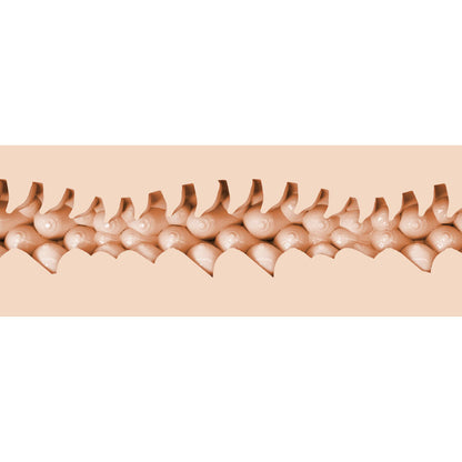 FLESHLIGHT FANTASY - EVIE AKASHIYA VAGINA