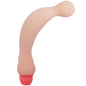 Comprar BAILE Flexi Vibe Sensual Spine Vibrador 22 CM – Diseño Ergonomico Para Experiencia Intensa-Noxtic