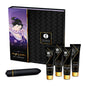Comprar SHUNGA Kit Geisha Naughty – Set Elegante Para Explorar Nuevas Sensaciones-Noxtic