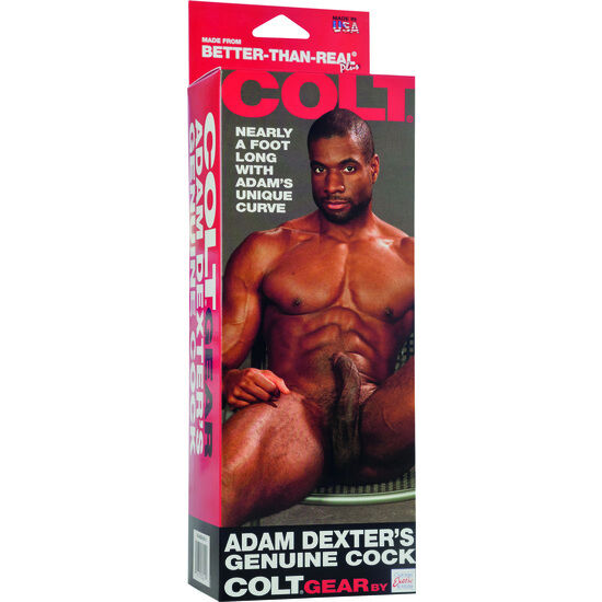 CALEXOTICS Colt Realistic Penis Adam Dexter – Giocattolo erotico dal design realistico per il piacere intimo